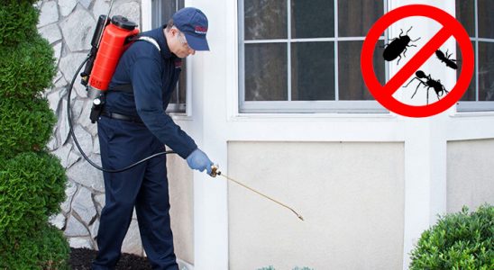 Kırıkkale Böcek İlaçlama böcek ilaçlama ve haşere kontrolü — ilaclama-tr.com